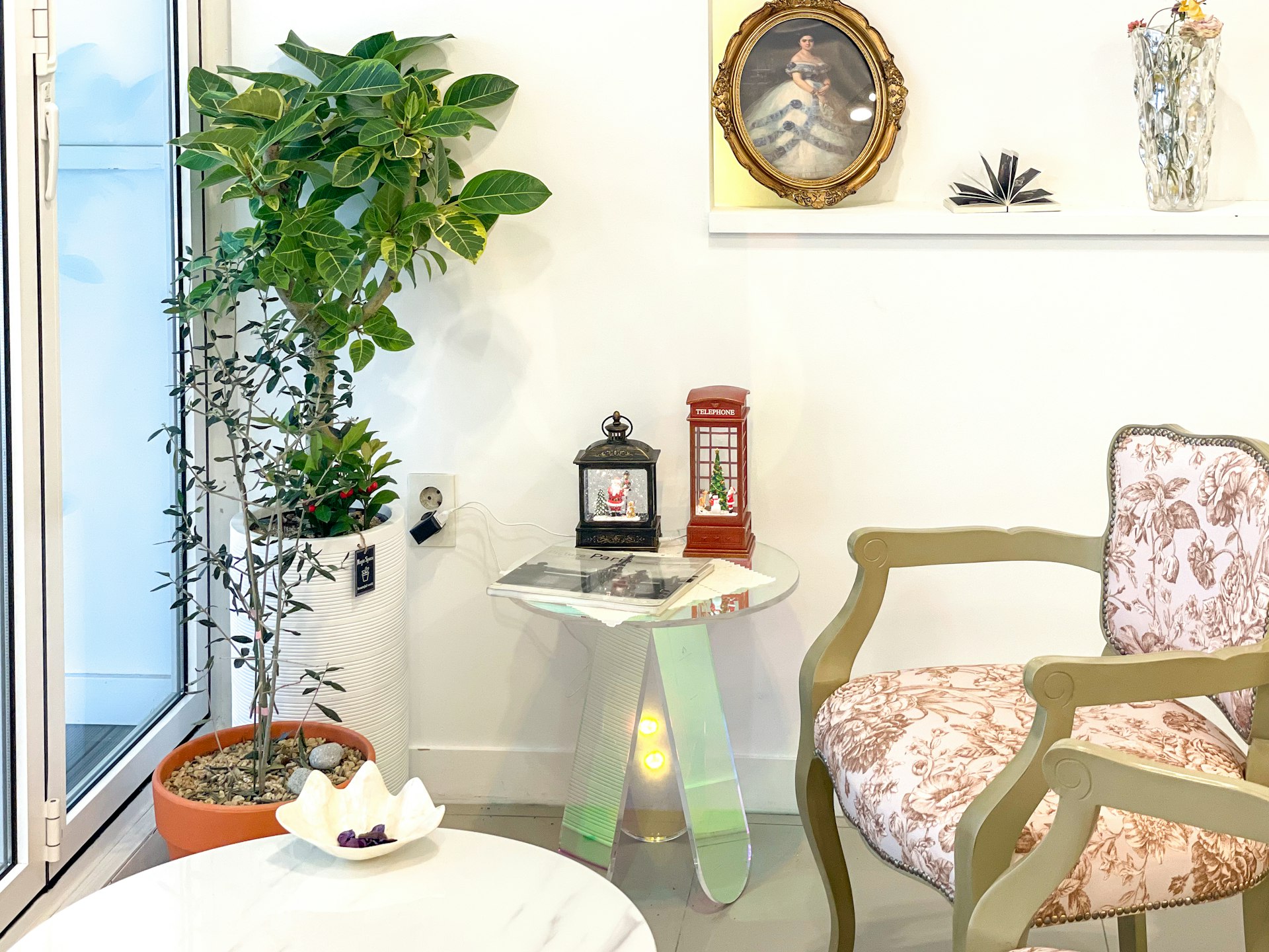 Sala clara com plantas e poltrona floral